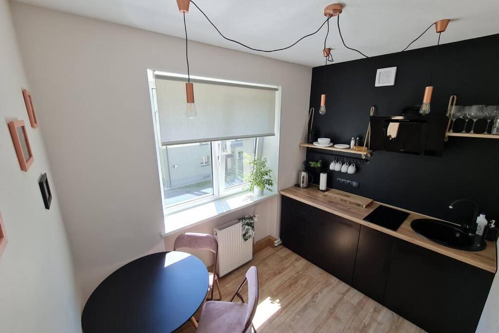The Sunny Willow Apartment Liepāja